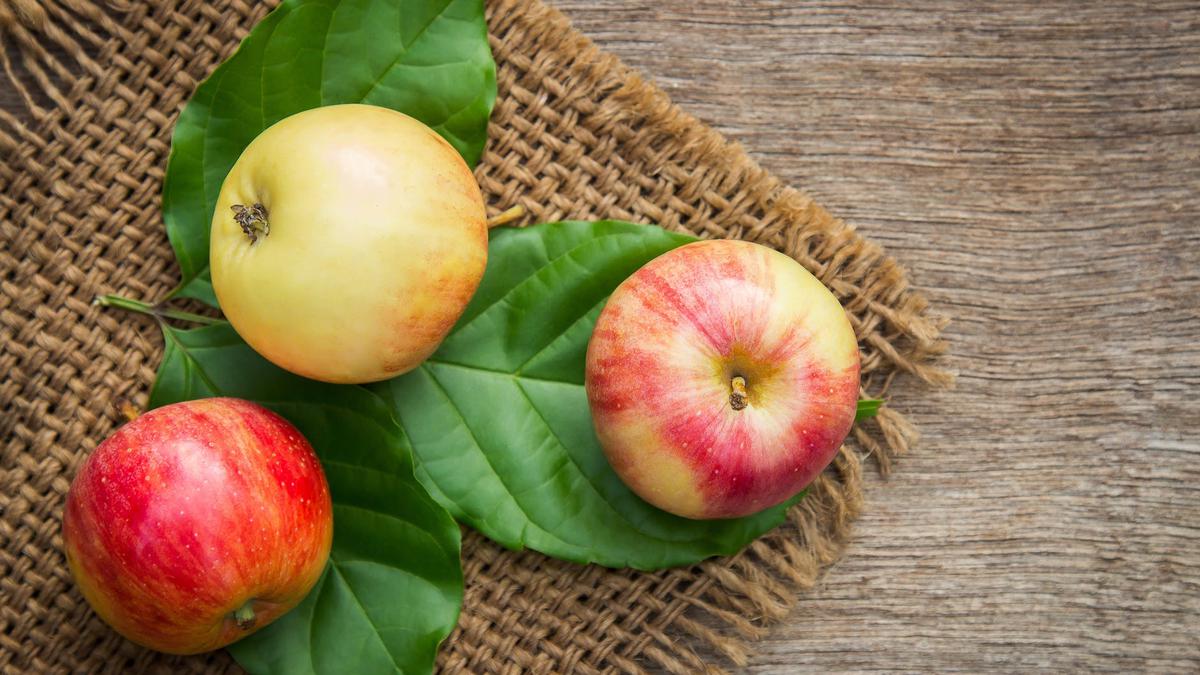 Manfaat Buah Apel untuk Kesehatan, Baik untuk Pencernaan - Hot