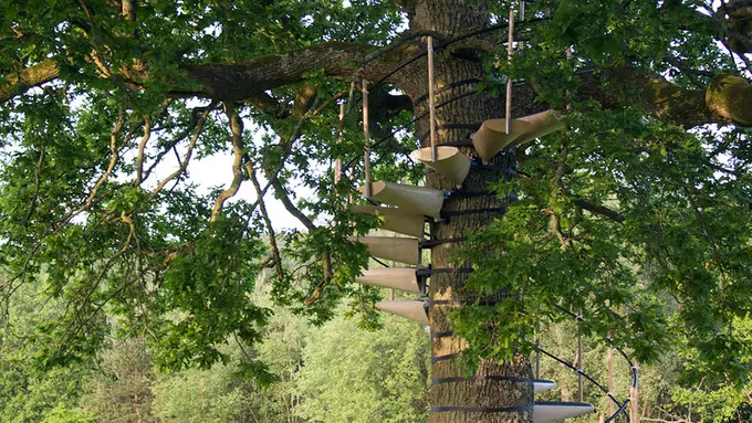 Kerennya Tangga Rumah Pohon yang Ramah Lingkungan