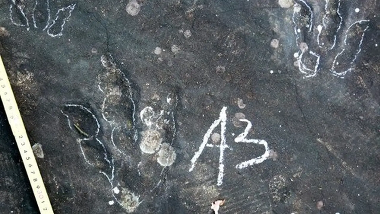 Tim ilmuwan menemukan jejak kaki theropoda di Provinsi Guizhou, China barat daya. (Xinhua)