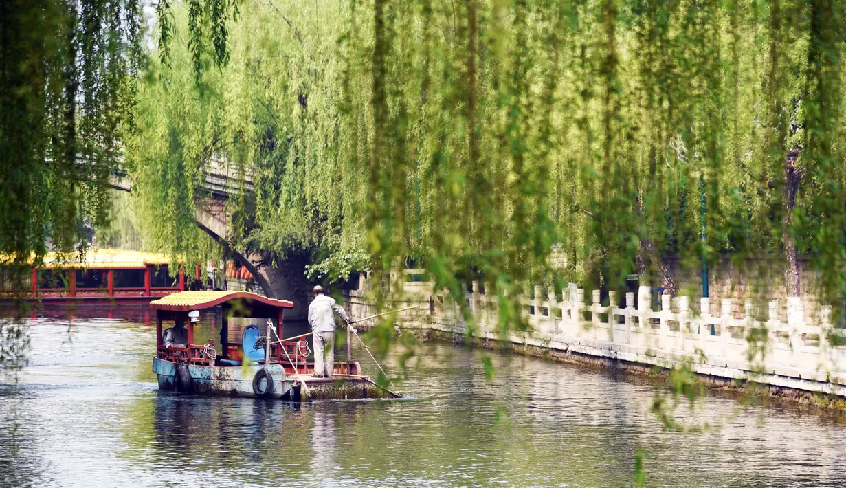 Seorang warga menaiki perahu saat menikmati pemandangan musim semi di sepanjang parit di Jinan, Provinsi Shandong, China timur. (Xinhua/Wang Kai)