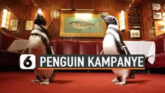 PENGUIN KAMPANYE