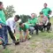 Penanaman Pohon di bantaran Kali Cibanten, Sukadana, Kecamatan Kasemen, Kota Serang. (Dok. Antara)