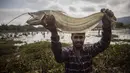 Seorang penduduk desa menunjukkan hasil tangkapannya saat mencari ikan sebagai bagian dari perayaan Bhogali Bihu di desa Panbari, sekitar 50 km timur Gauhati, India, Kamis (13/1/2022). "Bhogali Bihu" menandai berakhirnya musim panen di timur laut negara bagian Assam. (AP Photo/Anupam Nath)