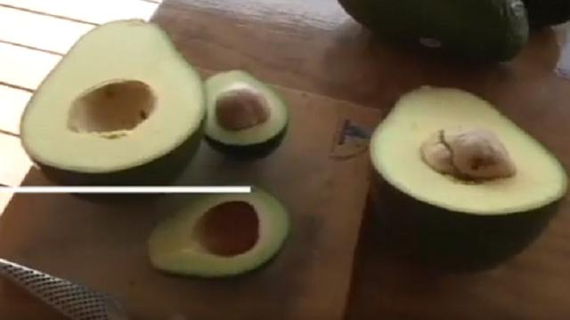 Avozilla