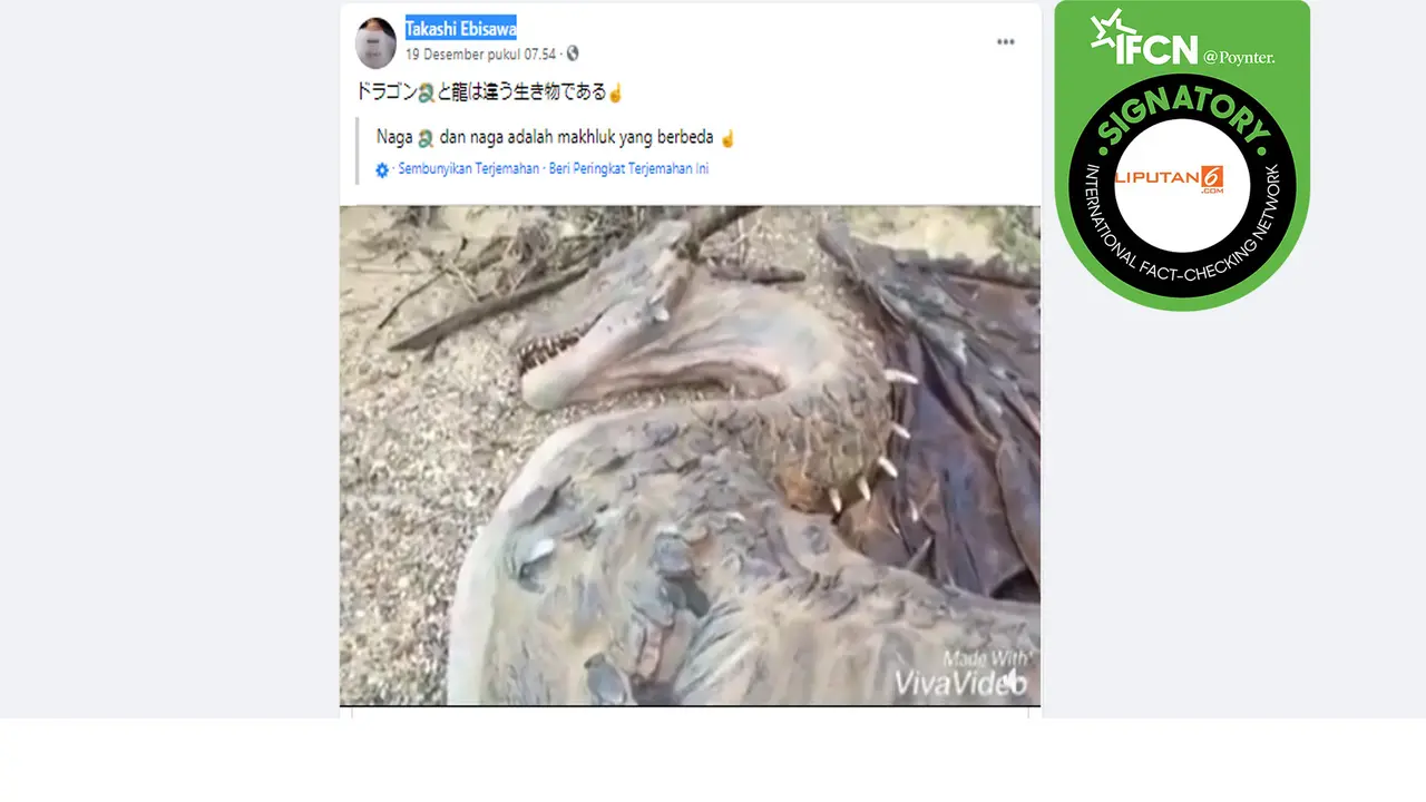 Ini Bukan Video Penemuan Naga di Tibet