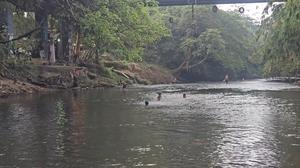 Ciliwung Surut 30–50 Cm di Depok, Remaja Depok Berenang