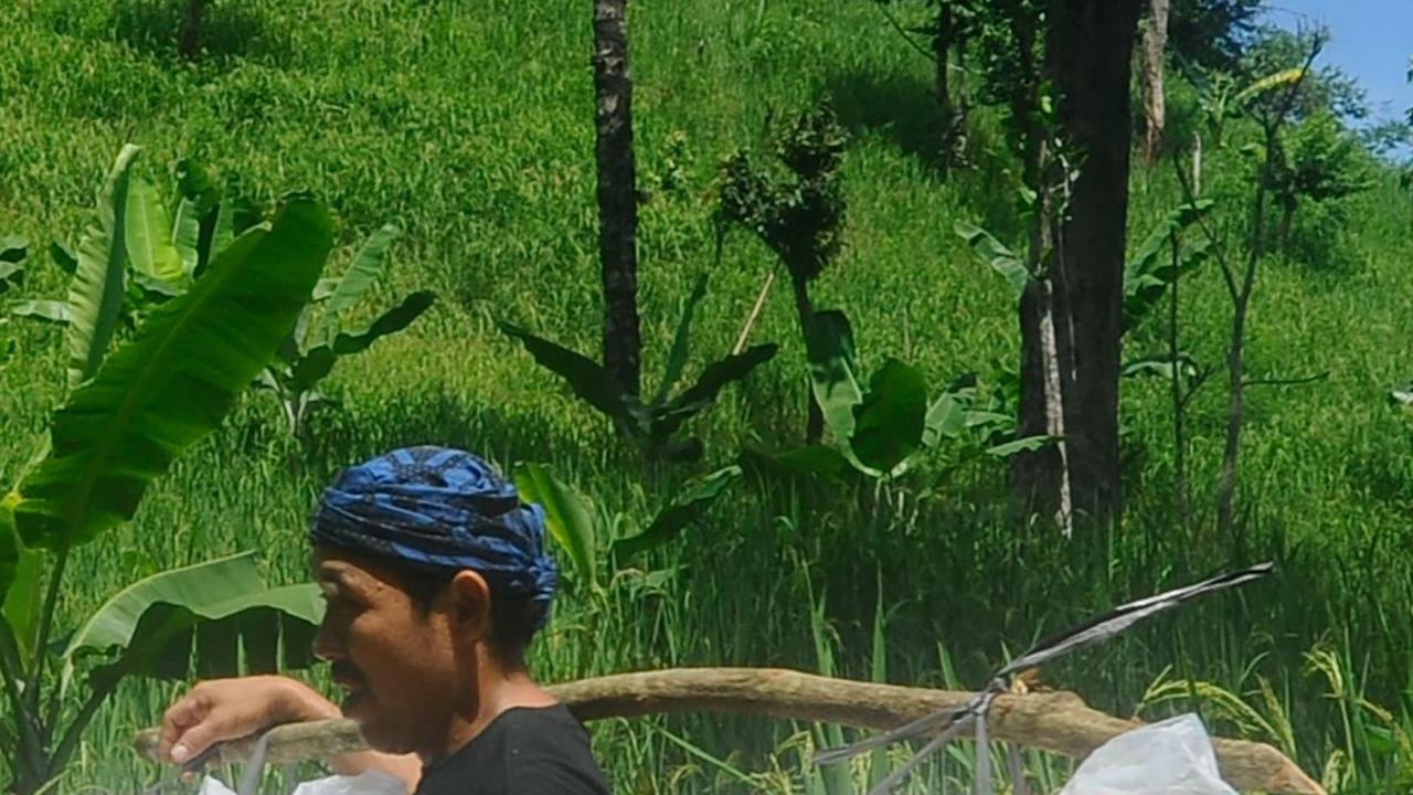 Tak mudah mengirimkan logistik Pemilu 2024 di kawasan Baduy ini. Petugas bersama warga setempat harus berjalan kaki hingga 5 km. Merdeka.com/Arie Basuki