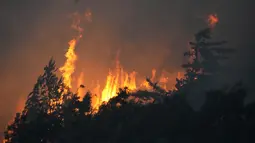 Kebakaran dimulai pada pukul 17.00 (1600 GMT) di daerah pegunungan yang merupakan bagian dari taman alam Sintra-Cascais, yang mencakup sekitar 145 kilometer persegi (56 mil persegi) dan terletak di sebelah barat ibu kota Lisbon. (AP Photo/Armando Franca)