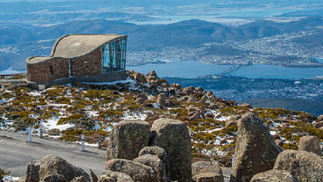 Ilustrasi Tasmania (iStock)