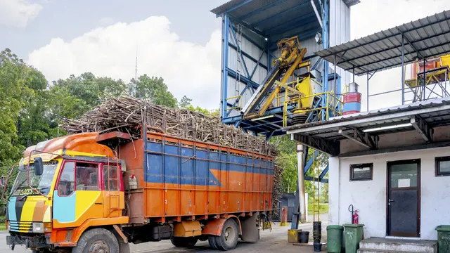 SGN Bidik Produksi Gula 13,5 Juta Ton, Bawa Indonesia Bebas dari Impor Gula