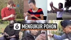 mengukur pohon