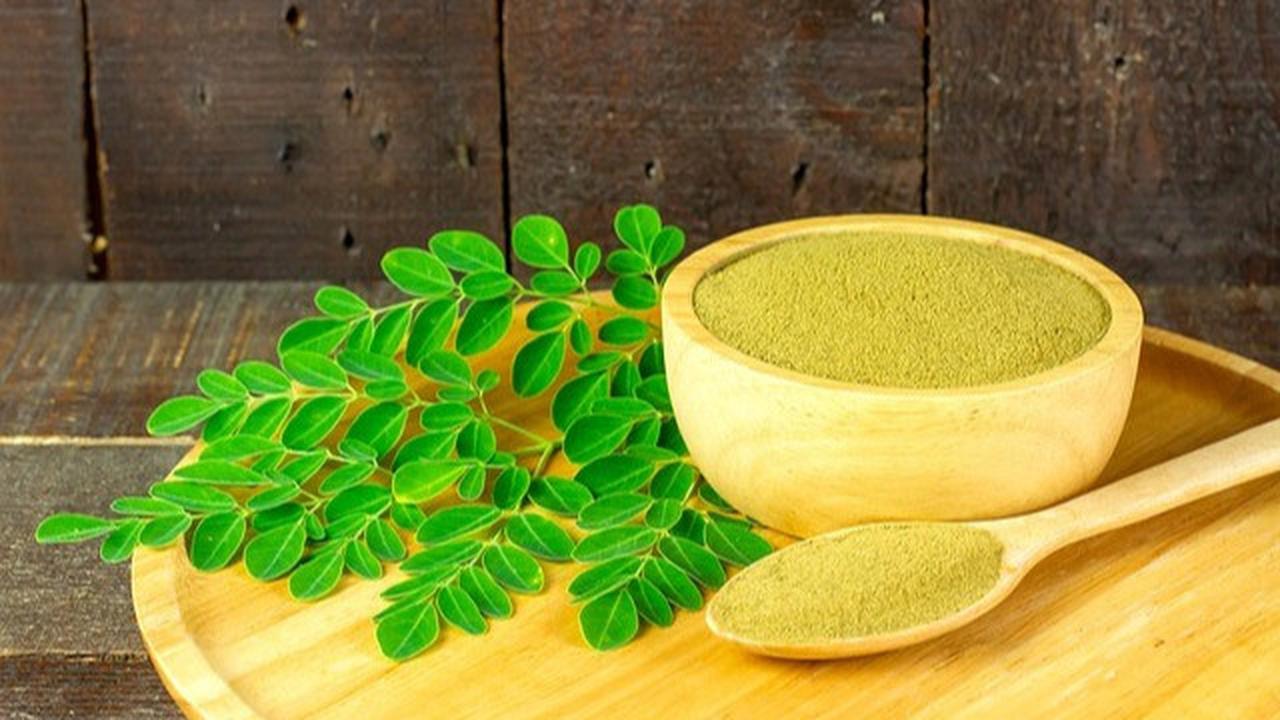 Salah satu keistimewaannya adalah kemampuan daun kelor dalam meningkatkan vitalitas pria ketika berada di ranjang.
