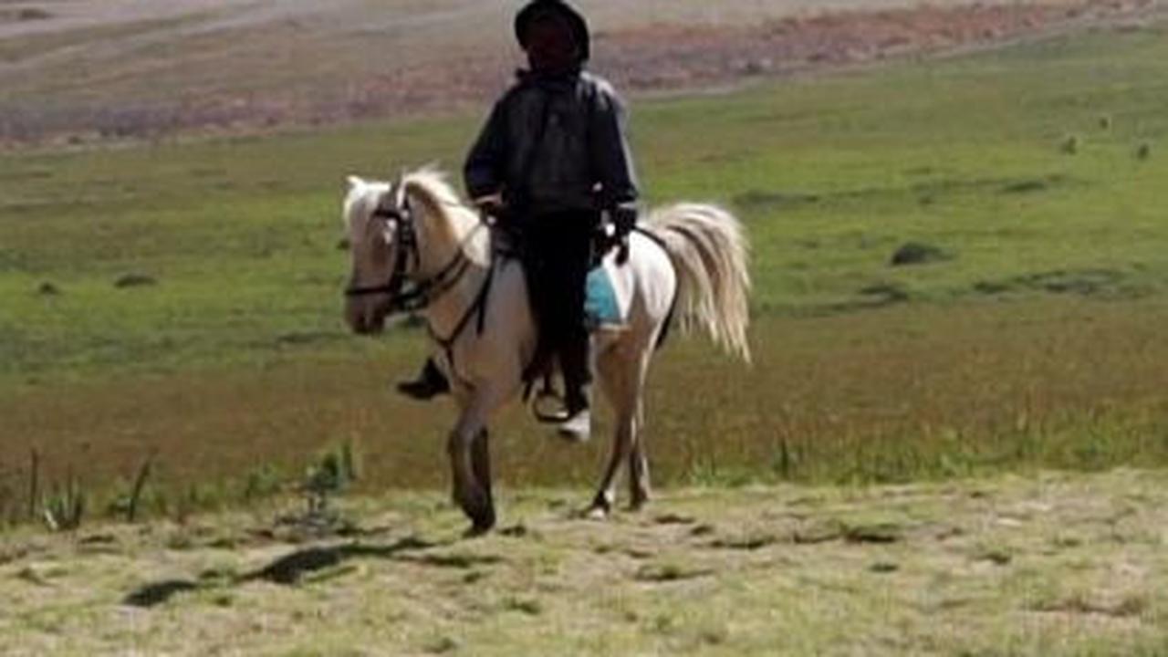 Savana Gunung Bromo Mulai Hijau Kembali, Kunjungan Wisatawan Belum Pulih