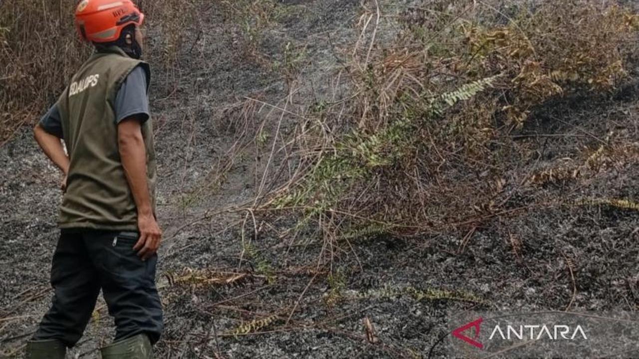 Karhutla Parigi Moutong: Dua Hektare Lahan Mineral Terbakar, Penanganan Terus Berlanjut