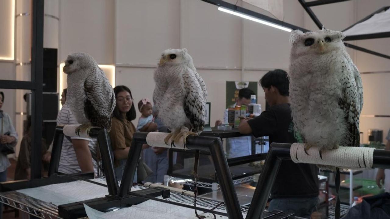 Area Pameran yang Menarik dan Interaktif
