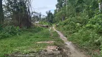 Petani Konawe Selatan Protes, Lahan Sawit Merambah Kawasan Konservasi