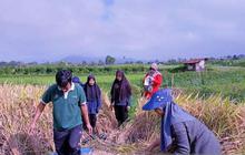 OJK: Laba Industri Asuransi Umum Tumbuh Positif, Reasuransi Tertekan Geopolitik