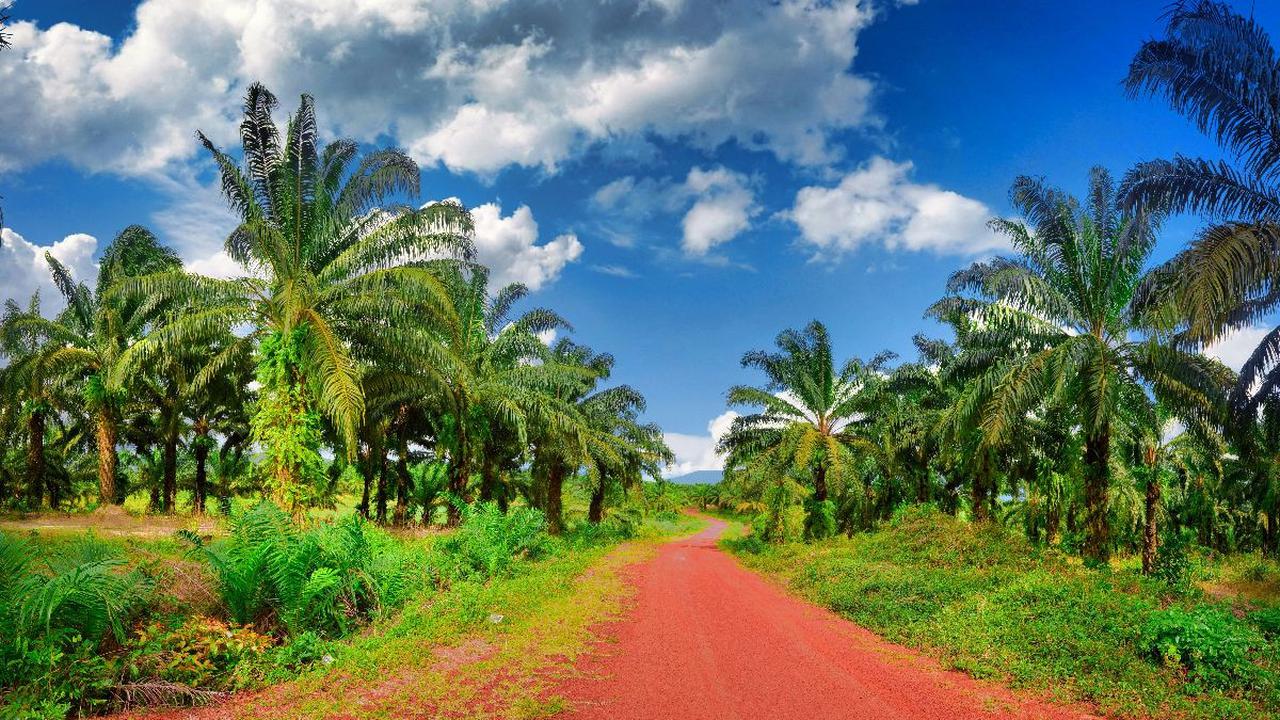 UEA juga merupakan mitra dagang terbesar kedua bagi Indonesia, dengan total perdagangan USD5,06 miliar.&nbsp;