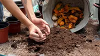 Cara Mengolah Sampah Sayur Jadi Pupuk Kompos di Rumah dengan Mudah dan Ramah Lingkungan