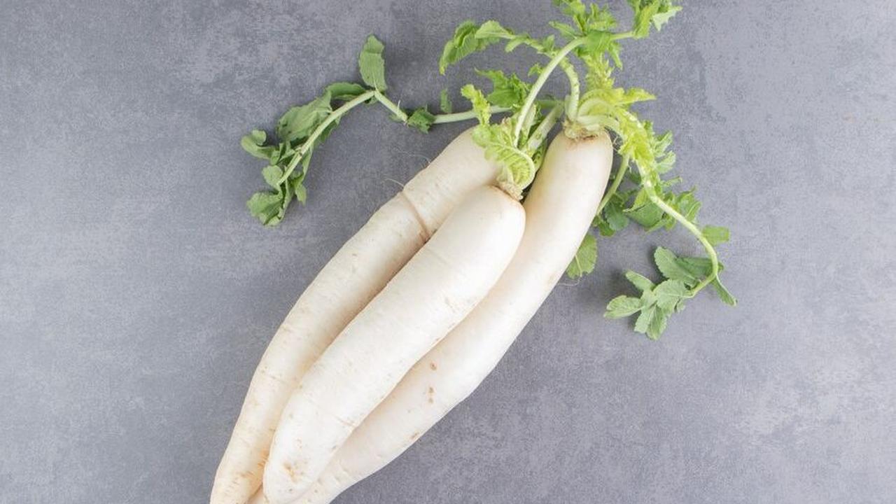 4. Lobak Daikon: Sayuran Akar Penjaga Kekebalan Tubuh