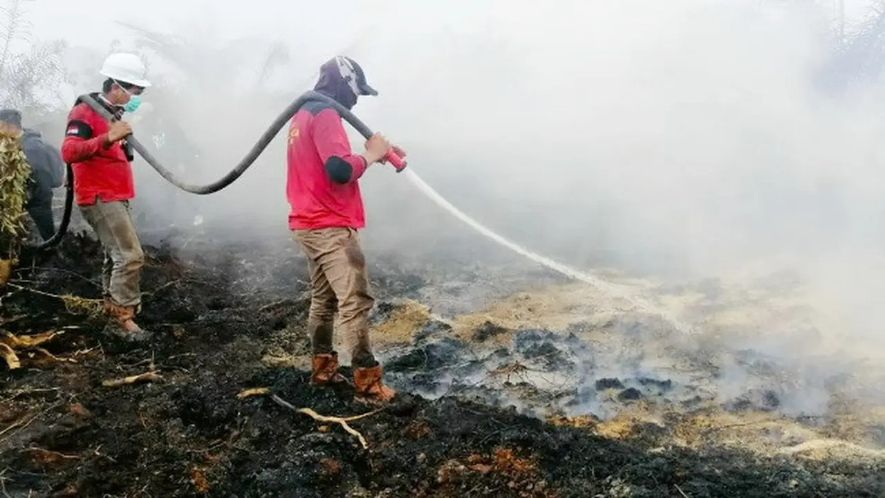 Petugas memadamkan kebakaran hutan dan lahan (karhutla) di Riau.