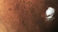 NASA telah meneliti kandungan air garam yang ada di Planet Merah. Apakah makhluk hidup bisa bertahan dengan adanya air di planet itu?