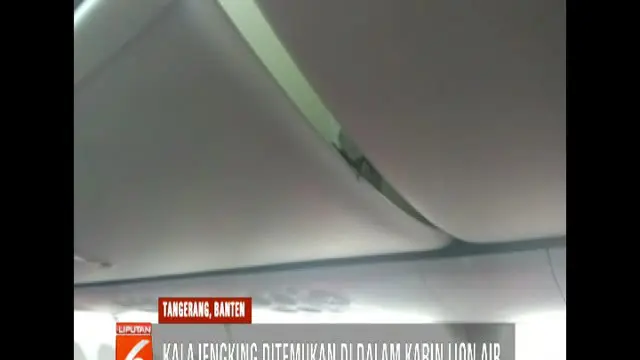 Kepala Otoritas Bandara Wilayah I Soekarno Hatta Herson mengkonfirmasi adanya temuan binatang di dalam kabin pesawat.