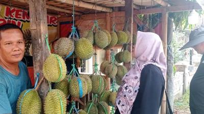 Musim Panen Tiba, Pedagang Raup Omzet Puluhan Juta dari Jualan Durian Badui di Rangkasbitung