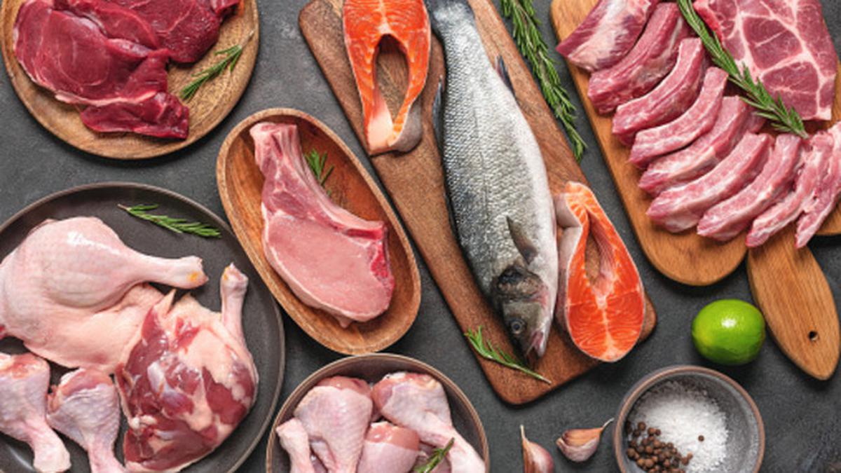 Tahukah Kamu Vitamin B12 Hanya Ada di Hewani? Ini Pentingnya Protein Hewani untuk Kesehatan Optimal