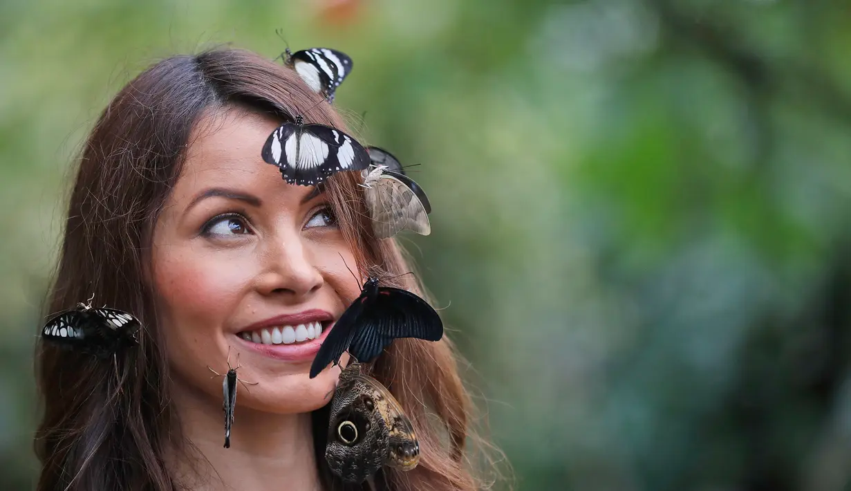 Wajah seorang wanita bernama Jessie dihiasi kupu-kupu saat berpose dalam sesi foto di Wisley Gardens, Inggris (12/1). Lebih dari 50 spesies kupu-kupu eksotis terbang bebas ditempat ini. (AP Photo / Frank Augstein)