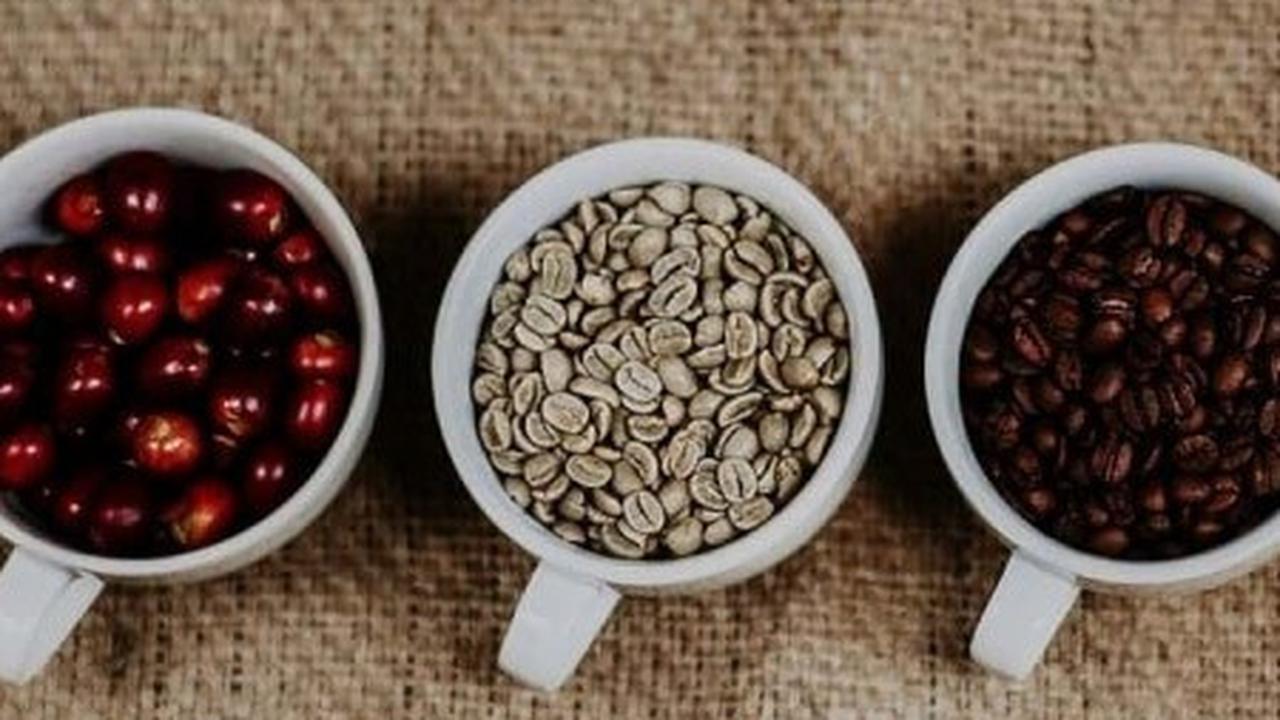 ilustrasi kopi