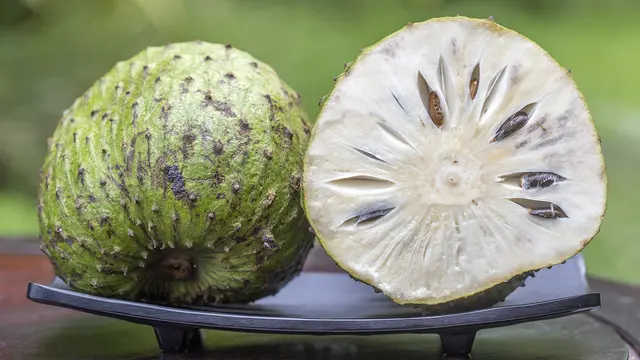 Manfaat Buah Sirsak (sumber: iStock)