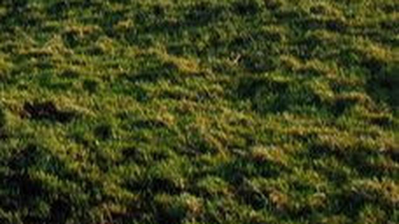 Quanterness Chambered Cairn<br>