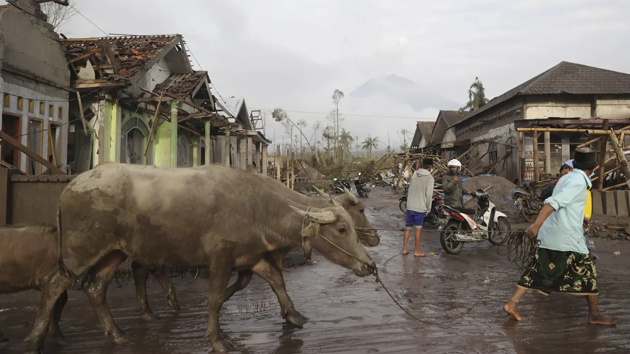 Rumah-Rumah Terdampak Gunung Semeru Meletus