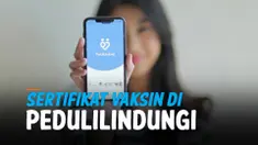 THUMBNAIL PEDULILINDUNGI