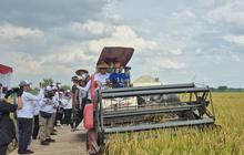 Bulog Catat Telah Serap 400.000 Ton Gabah dan Beras Petani per Maret 2025