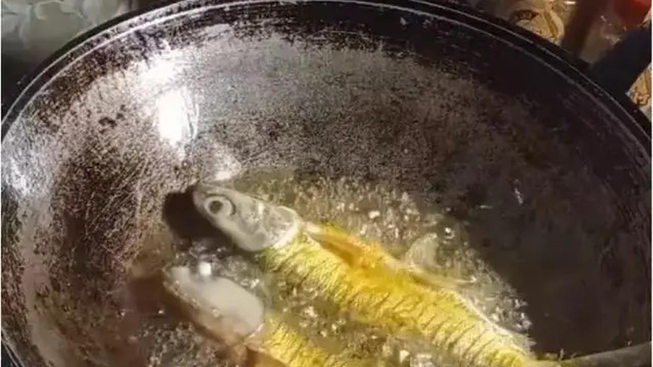 Cara Menggoreng Ikan Bandeng Agar Tulang Hancur Tanpa Presto