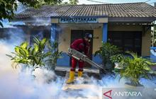 Tren Kasus DBD Jakarta Meningkat di Awal 2026, Dinkes Perkuat Pencegahan