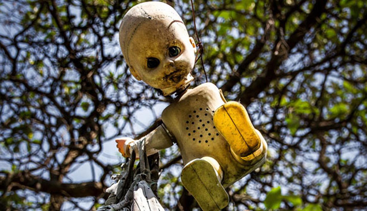 Don Julian Santana menggantung boneka di pulau ini karena dirinya merasa dihantui oleh arwah gadis cilik yang tenggelam di pulau tersebut, Meksiko, Jumat (14/11/2015). Diperkirakan ada ribuan boneka tergantung di pepohonan Isla de La Munecas.  (Reuters)