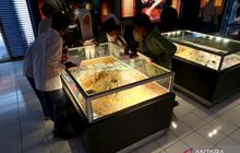 Menguak Jejak Letusan Samalas: NTB Bangun 50 Museum Baru untuk Peradaban Dunia