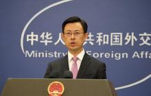 Fakta Unik: China Dukung Rencana Damai Gaza Trump, Desak Solusi Dua Negara dan Gencatan Senjata Penuh