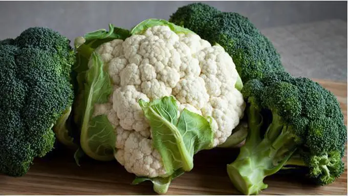 Foto : copyright shutterstock.com