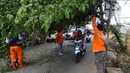 Petugas membantu pengendara motor melewati pohon yang hampir tumbang dan melintang di Jalan Raya Pondok Cabe, Tangerang Selatan, Banten, Sabtu (21/1/2023). Pohon ceri tersebut hampir tumbang awalnya disebabkan adanya perbaikan kabel telekomunikasi yang ditinggalkan begitu saja oleh teknisi. (merdeka.com/Arie Basuki)