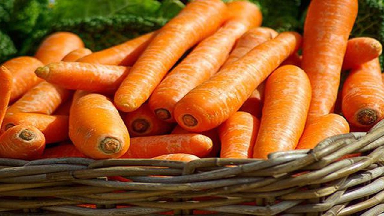 12 Jenis Tanaman yang Mudah Dirawat Cocok untuk Lahan Sempit, dari Tanaman Hias hingga Sayur-mayur
