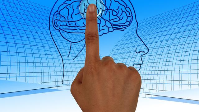 Ilustrasi saraf di dalam tubuh manusia