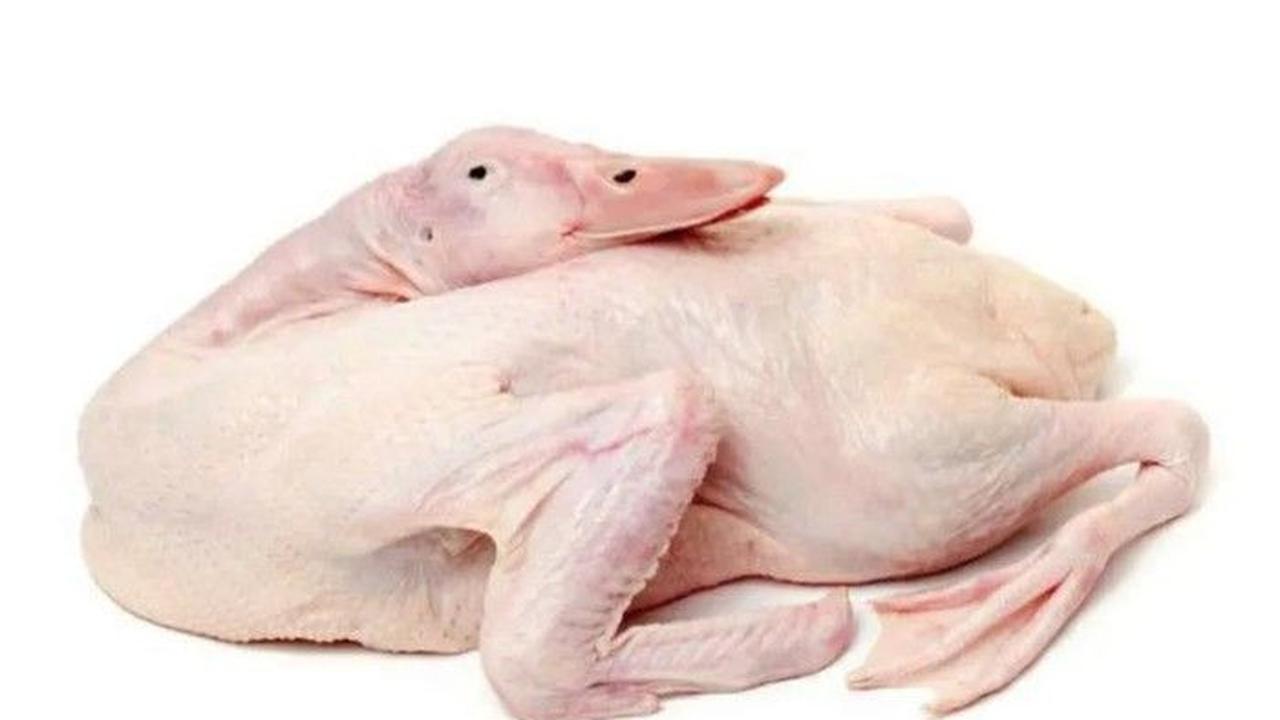 1. Pilih Daging Bebek yang Segar<br>