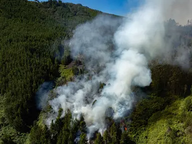 Foto udara ini menunjukkan asap yang mengepul dari kebakaran hutan di Nemocon, Kolombia pada 24 Januari 2024. (Luis ACOSTA/AFP)