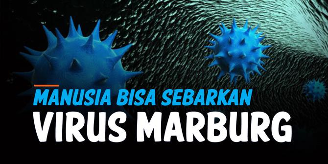 Liputan6 Udate:  Penyebaran Virus Marburg Bisa Juga Antar Manusia
