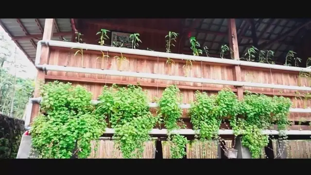 Rumah Hutan Dodit Mulyanto
