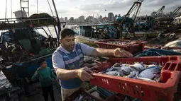 Seorang nelayan memuat hasil tangkapan lautnya ke kereta kuda yang akan dikirimkan ke pasar di kawasan Gaza, Minggu (23/5/2021). Para nelayan tersebut memanfaatkan kereta kuda untuk mengangkut hasil laut mereka ke pasar. (AP Photo/John Minchillo)